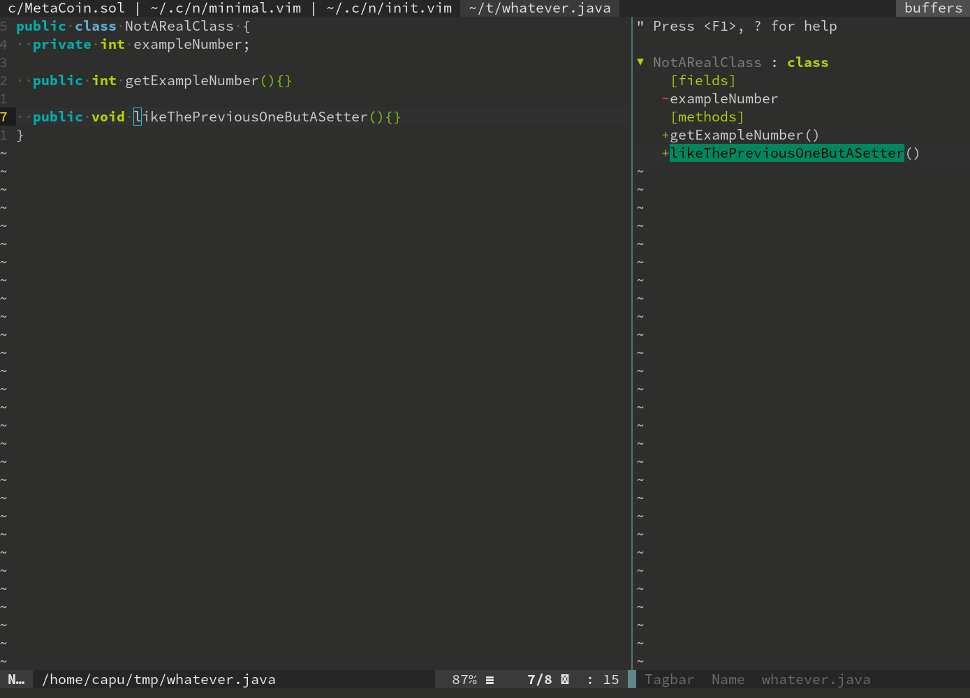 a screenshot of vim with tagbar open and working on an example Java class
